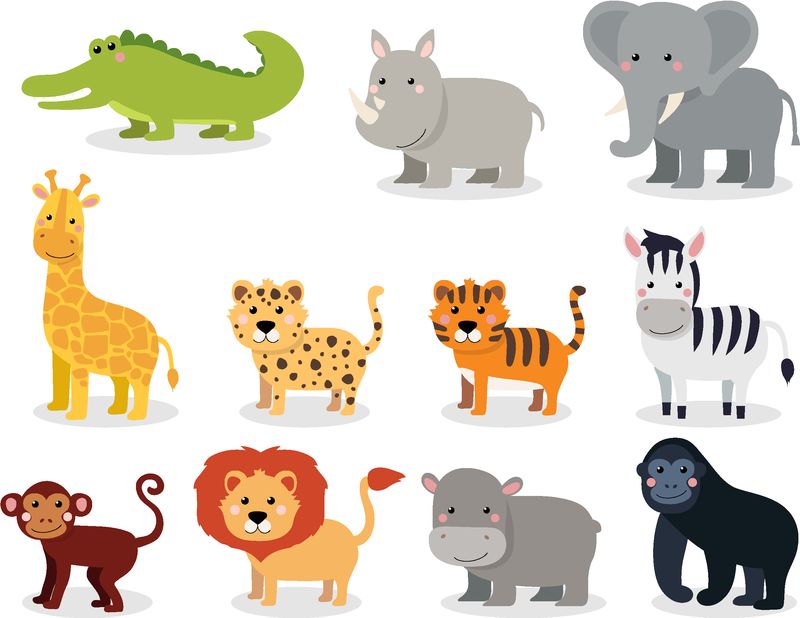 以白色背景隔离的平展风格设置的野生动物-插图-可爱卡通动物系列：鳄鱼犀牛大象长颈鹿豹老虎斑马猴子狮子河马