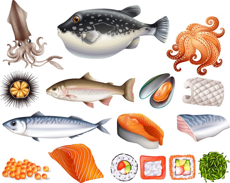 不同种类的生熟海鲜
