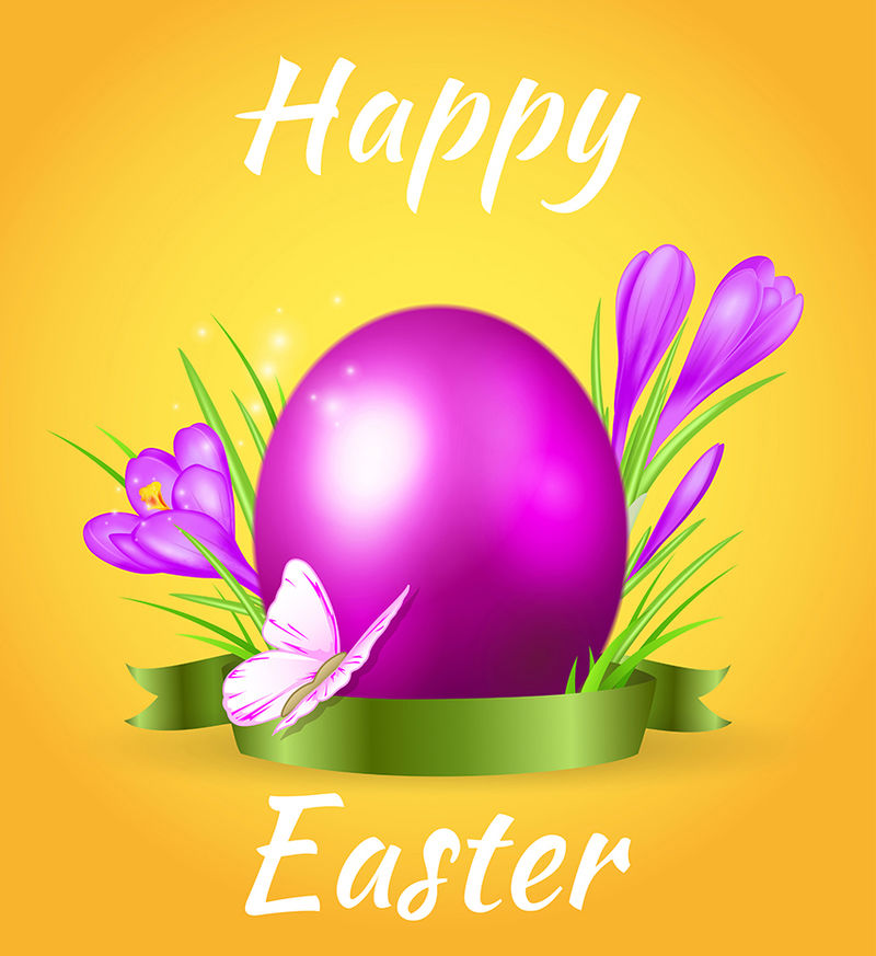 复活节卡片黄色背景上有鸡蛋紫罗兰番红花和蝴蝶