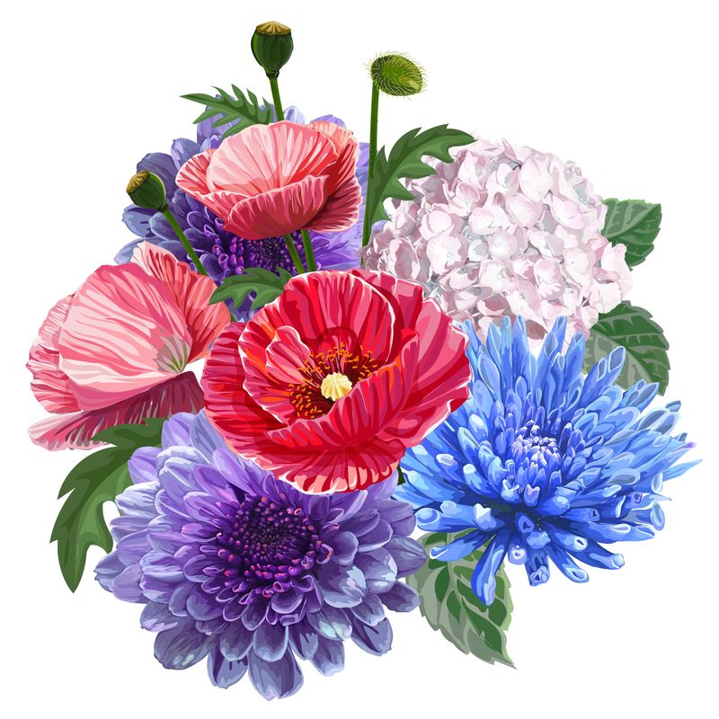 花束罂粟菊花和绣球花