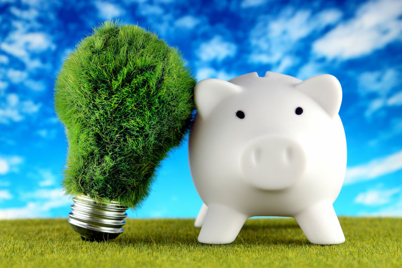 猪排和绿色生态灯泡-草和蓝天背景-可再生能源-电价-家庭节能