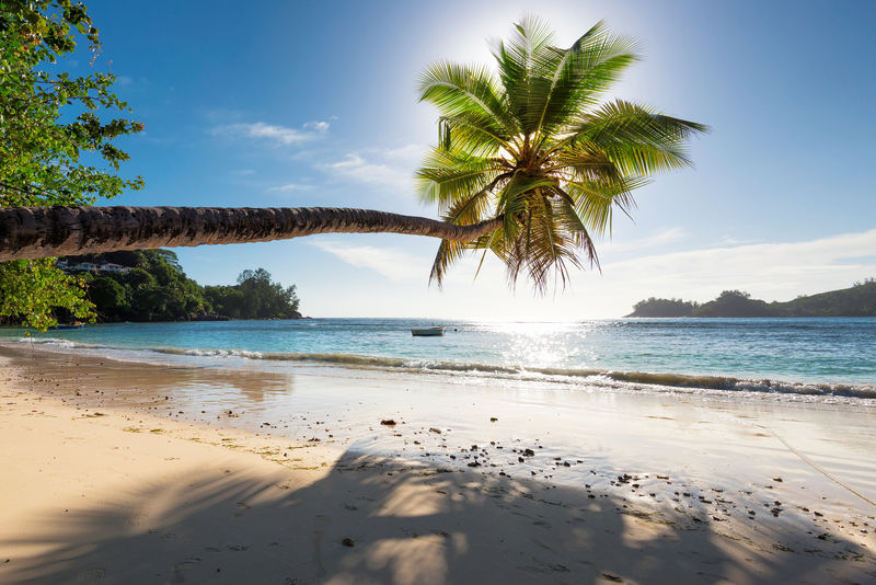 日落时分-风景如画的珊瑚海滩和椰子树-暑假海边
