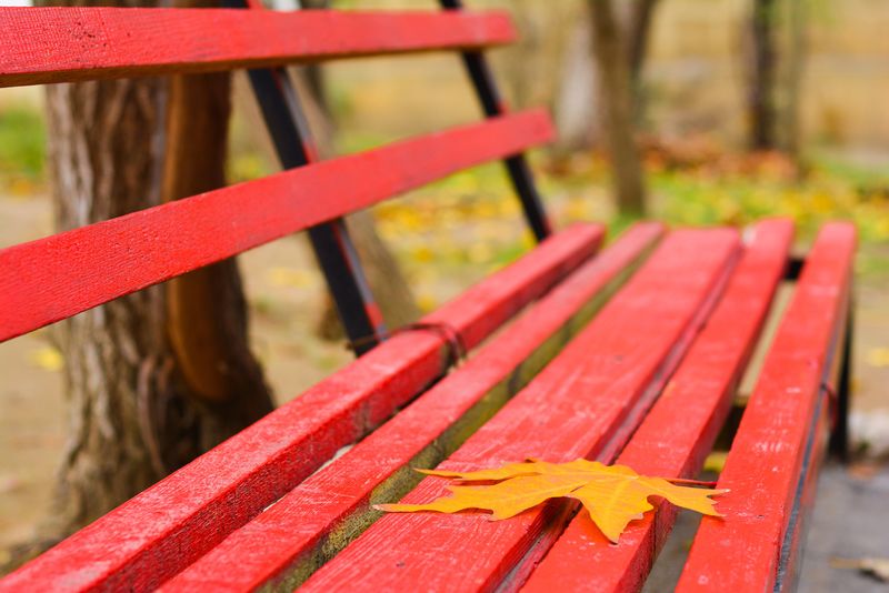 秋天在城里黄叶在长凳上