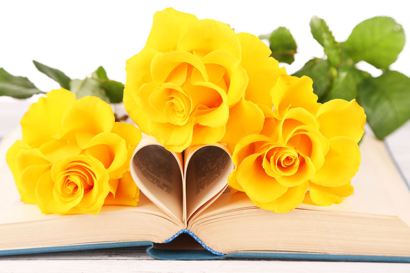 从书页和黄玫瑰中看到心形的开本书