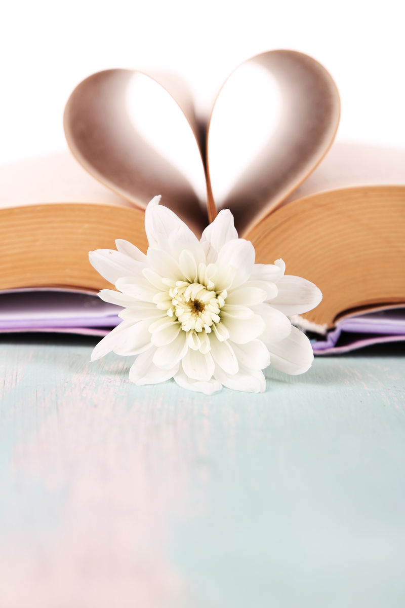 从白色背景的书页和花朵中打开心形的书-特写