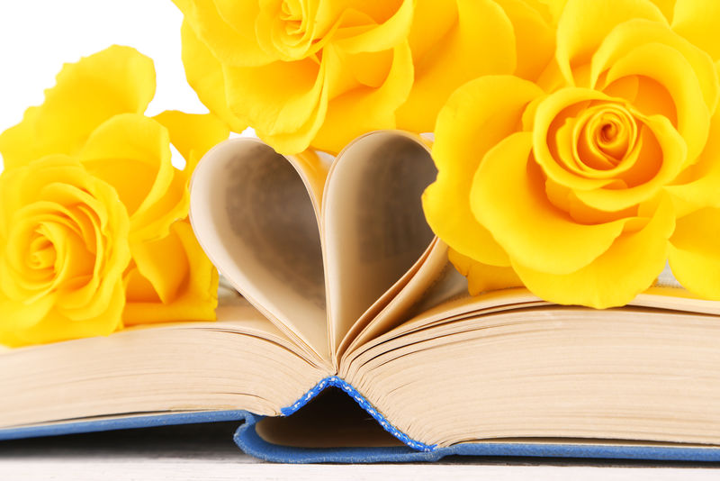 从书页和黄玫瑰中打开心形的书-特写