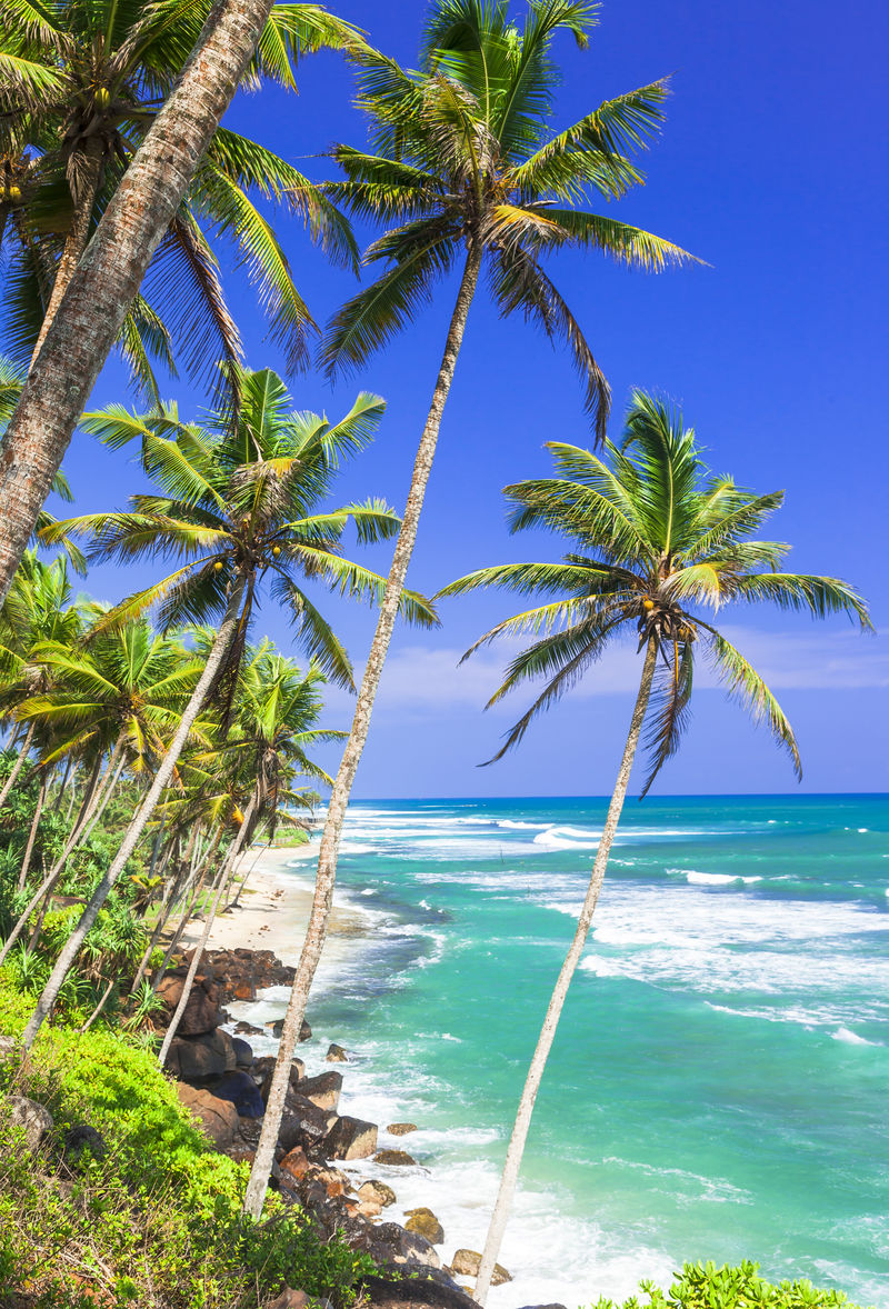 斯里兰卡美丽的热带野生海滩