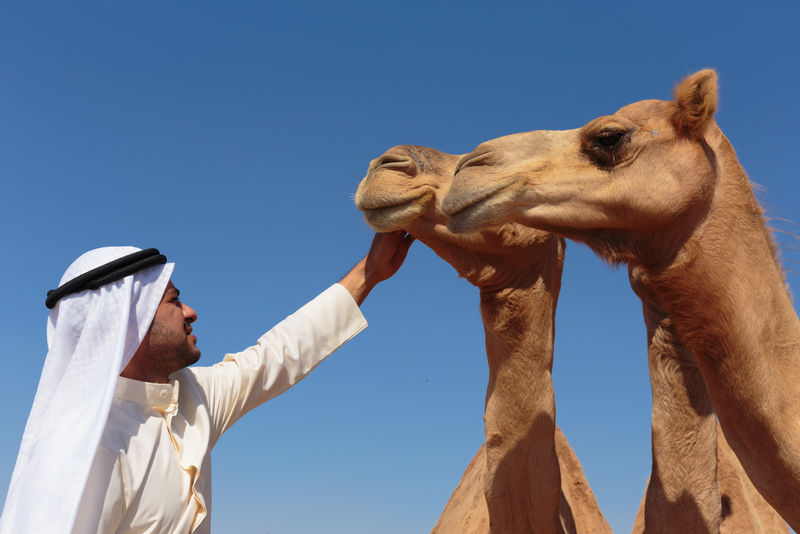 沙漠中一头骆驼的年轻人的肖像