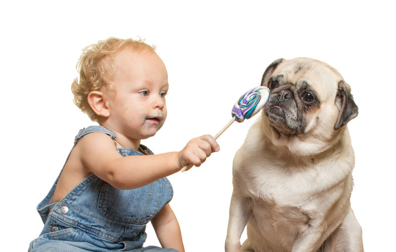 一个可爱的婴儿和一个哈巴狗分享他的棒棒糖-孤立在白色背景上
