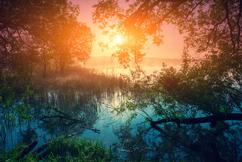 乡村景观雾蒙蒙的早晨湖面日出