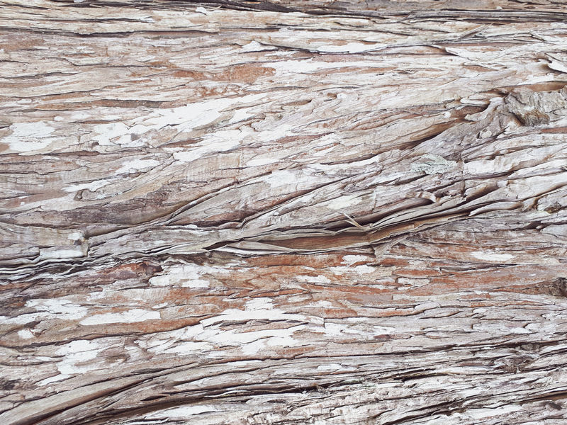 木质背景-树皮纹理-文字表面