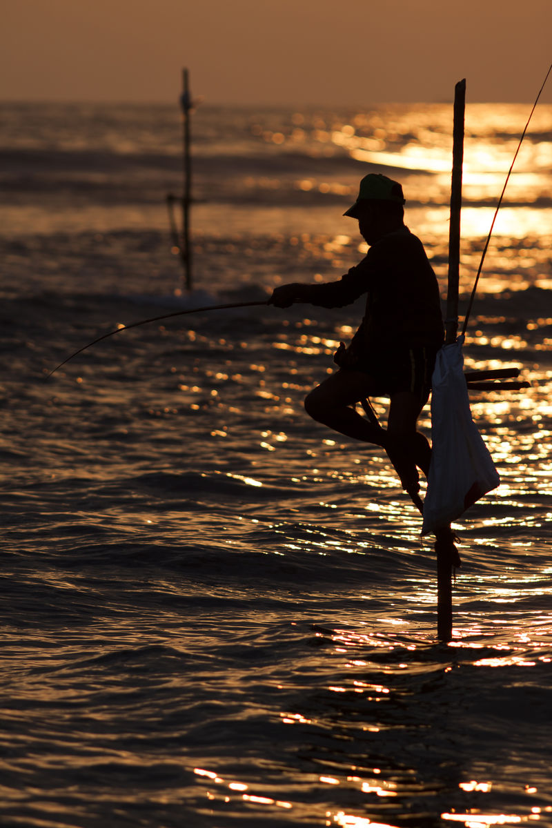 斯里兰卡加勒附近日落时分传统高跷渔民的剪影
