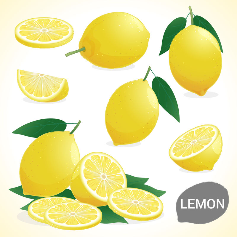 一套不同风格的柠檬矢量格式