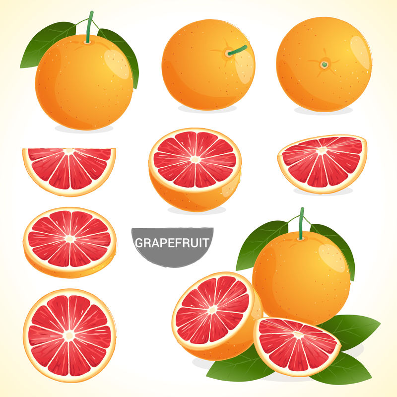 一套不同风格的葡萄柚叶矢量格式