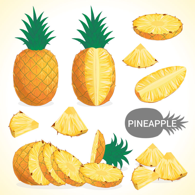 一套不同风格的菠萝水果矢量格式