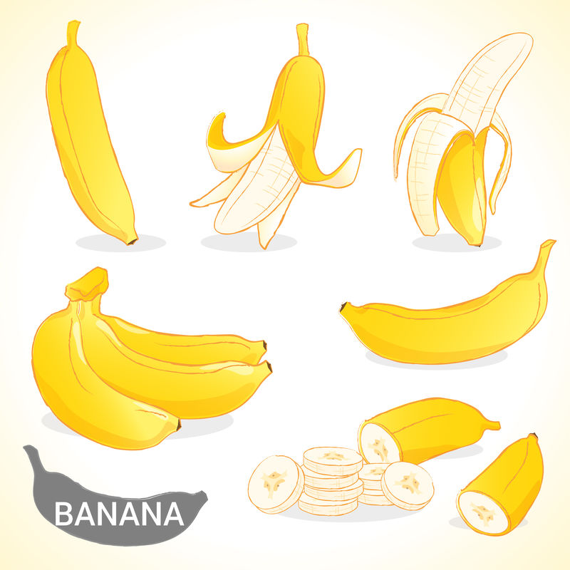 一套矢量和各种风格的香蕉水果