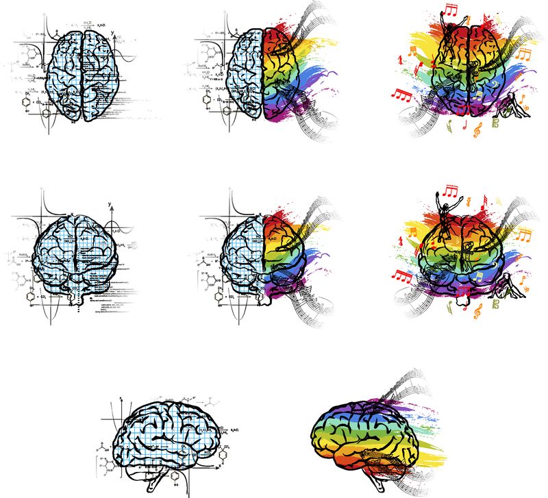 一组技术性和创造性的大脑半球-在不同的视角下-左脑和右脑的功能概念在白色上