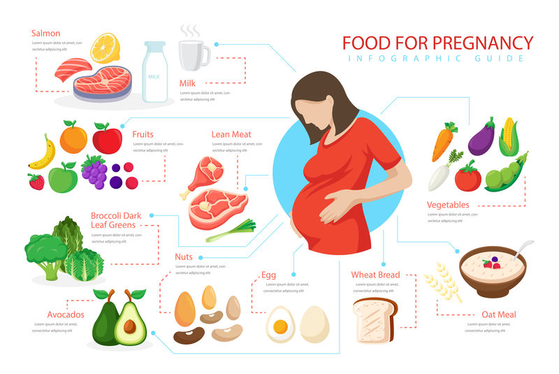 孕妇健康食品载体平面图标隔离白底-可爱的孕妇坐姿和产品-为良好的怀孕卡通风格的信息元素