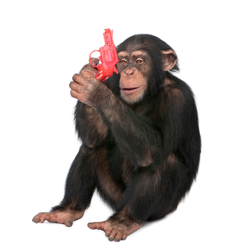 玩枪的小黑猩猩（5岁）