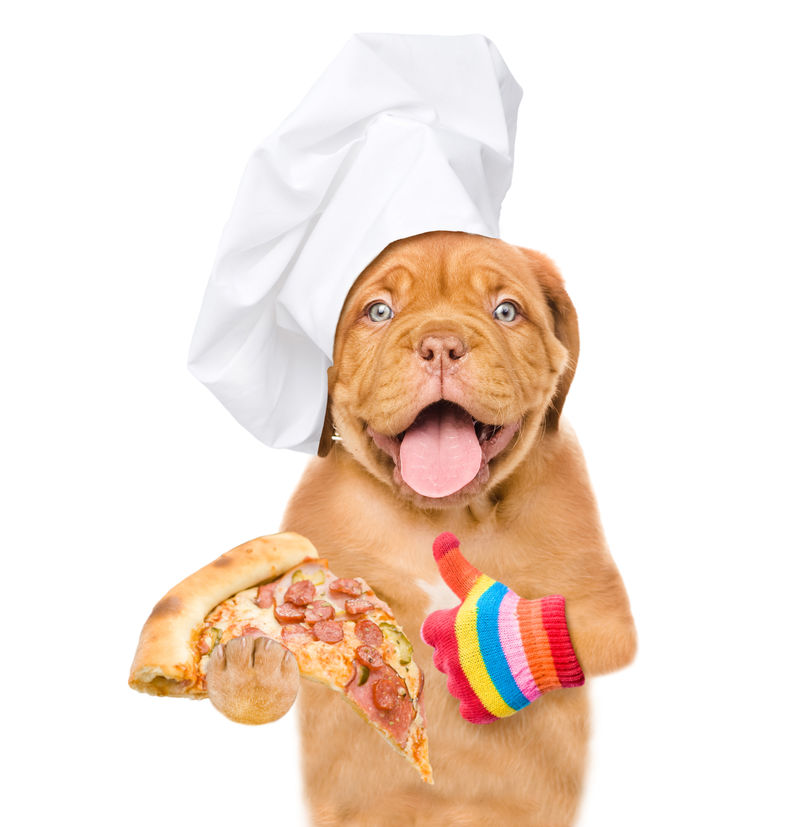 戴着厨师帽的滑稽狗披萨竖起大拇指白底隔离