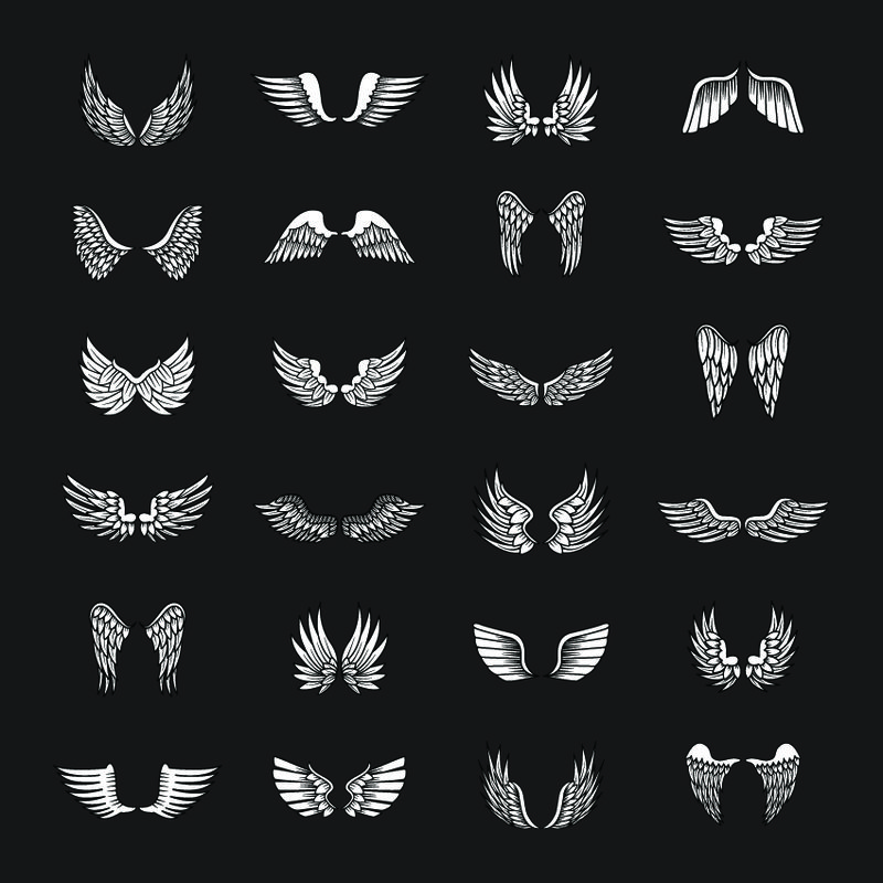 在黑色背景上单独设置翅膀草图-收集手绘天使翅膀-抽象涂鸦矢量插图-平面设计-用于标志图标纹身模板徽章标签和艺术设计
