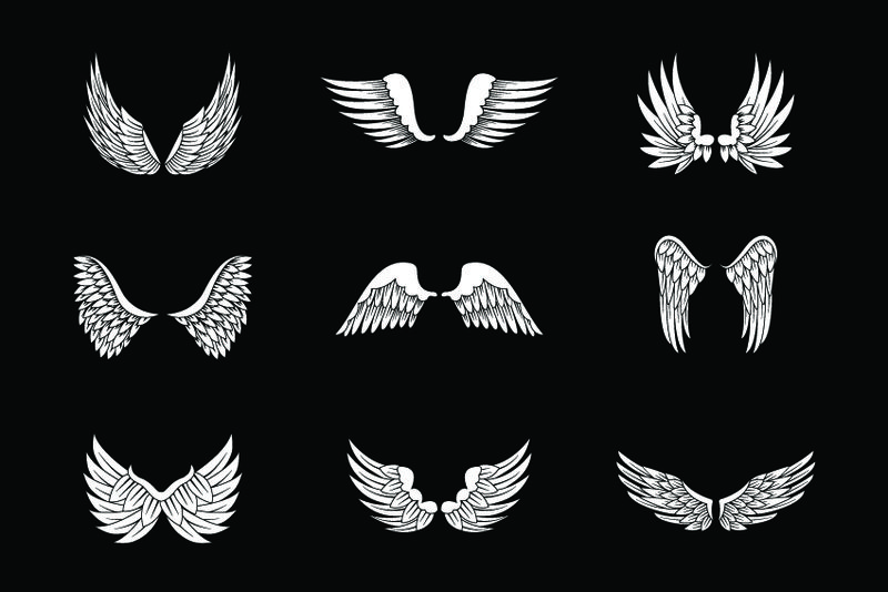 在黑色背景上单独设置翅膀草图-收集手绘天使翅膀-抽象涂鸦矢量插图-平面设计-用于标志图标纹身模板徽章标签和艺术设计