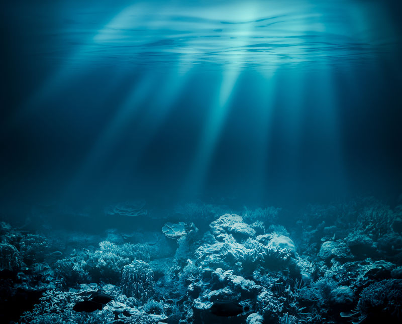 深海或海底与珊瑚礁一样