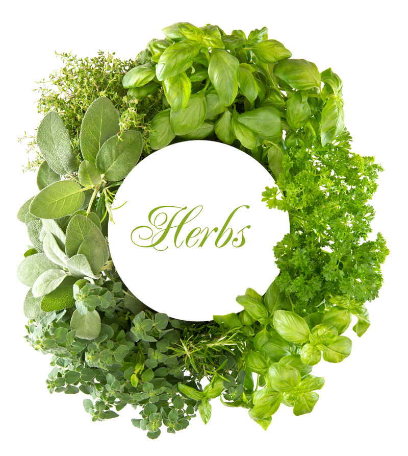 新鲜的地中海草本植物和香料-白色背景-为您的文本和样本文本草本空间-健康烹饪理念