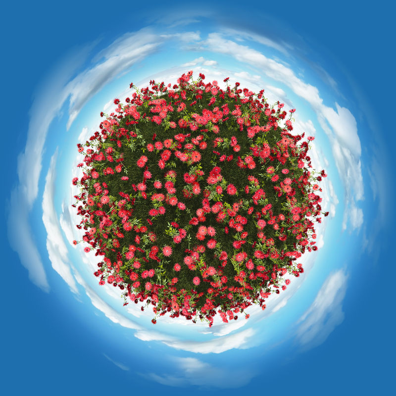 红色小花和云气的微型行星