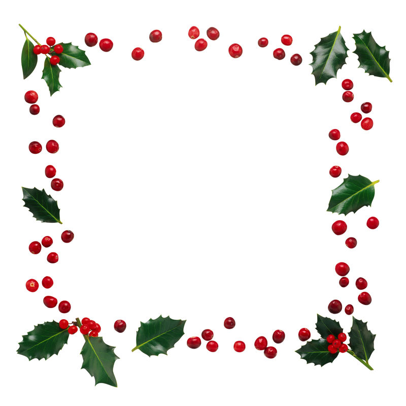 圣诞作曲-白色背景的圣诞植物框架-平放顶视图复制空间