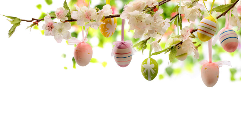 挂在梅枝上的复活节彩蛋