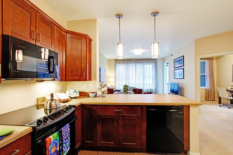 公寓内的现代化厨房-带开放式平面图-客厅视图