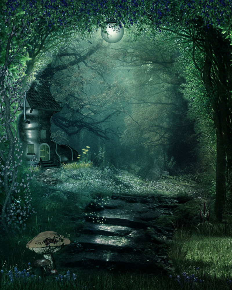 童话神秘森林