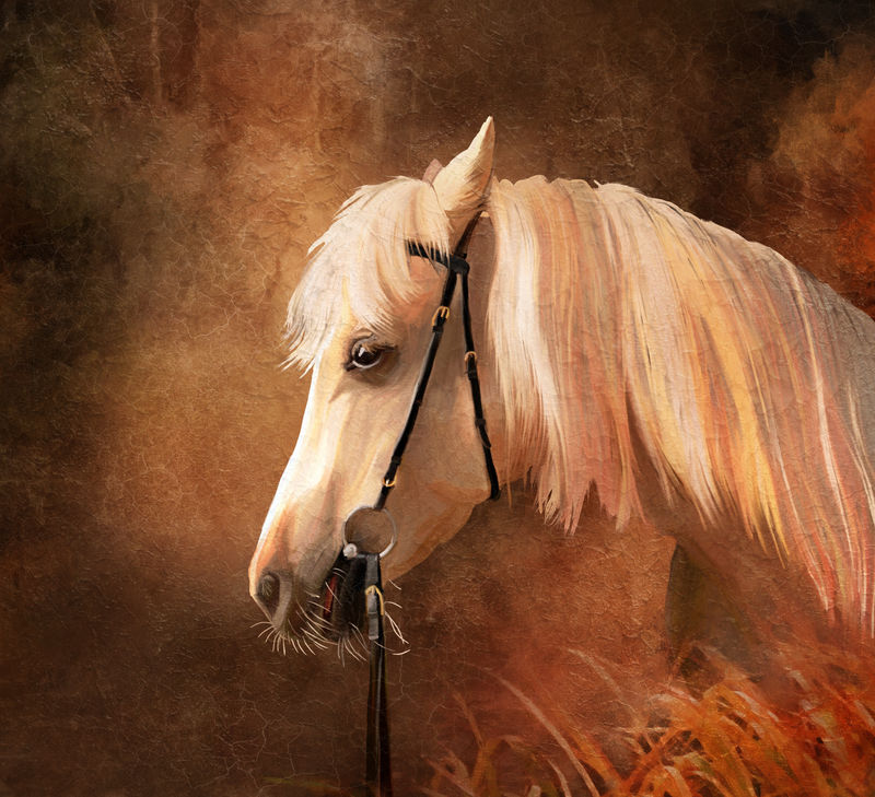 马的肖像旧油画风格的模拟