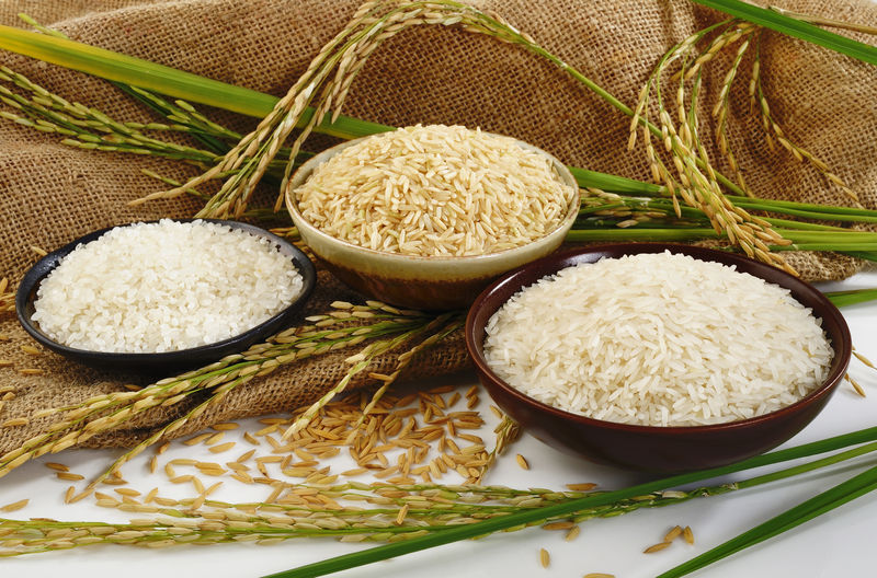 袋装稻米糙米白米日本米