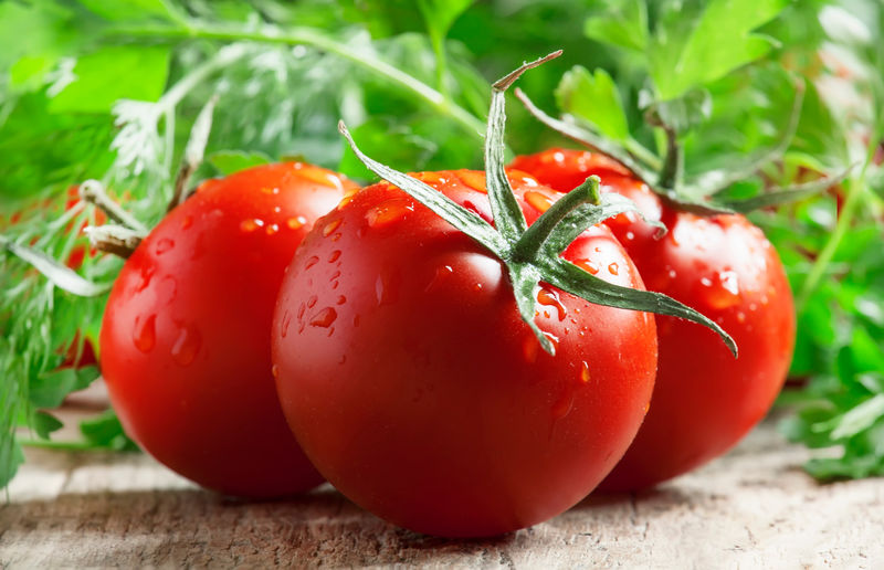 红番茄和绿色草本植物特写微距拍摄选择性聚焦