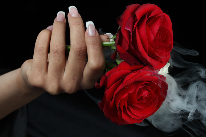 优雅的女性手举着完美的红玫瑰