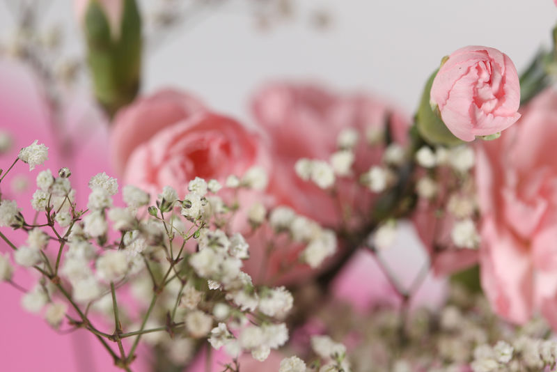前景中的牡丹花瓶-软焦点-车间花匠-做花束和插花-收集一束花的女人