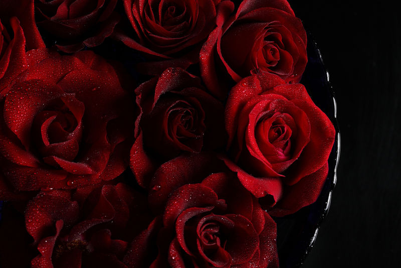 美丽的艺术花-红玫瑰和少女的雍容-准备打开它们的芳香！