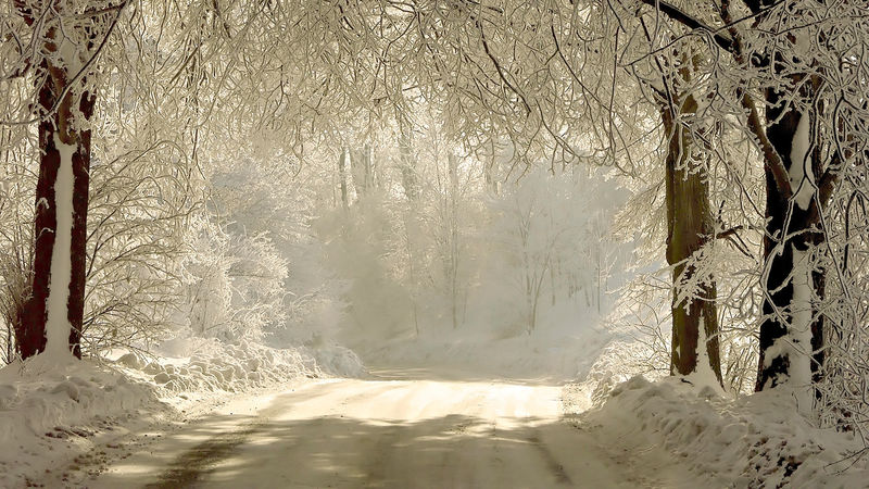冬日的道路在冰冻的树木之间穿行-神奇的太阳光落在树枝上
