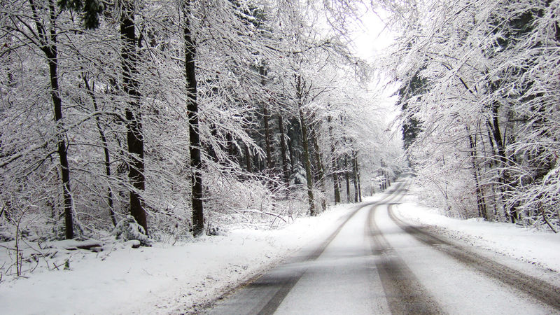 针叶林冬季景观积雪道路
