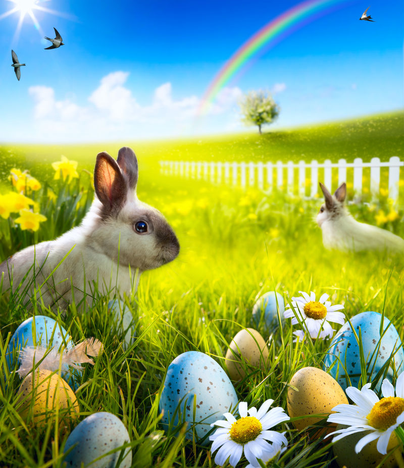 草地上的复活节兔子和复活节彩蛋