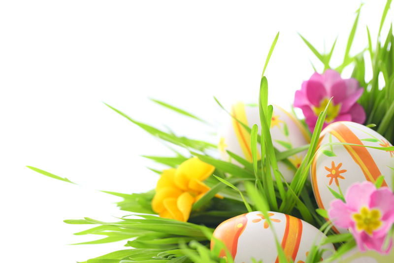 草中带报春花的复活节彩蛋