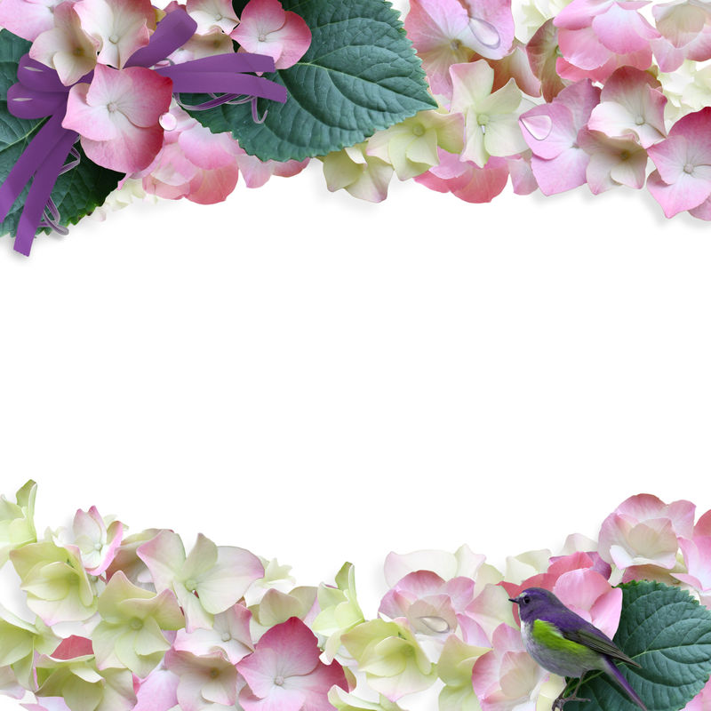 花卉背景套图 柔和的花卉背景图片素材 花卉背景背景图案套图免费打包下载 Mac天空素材下载