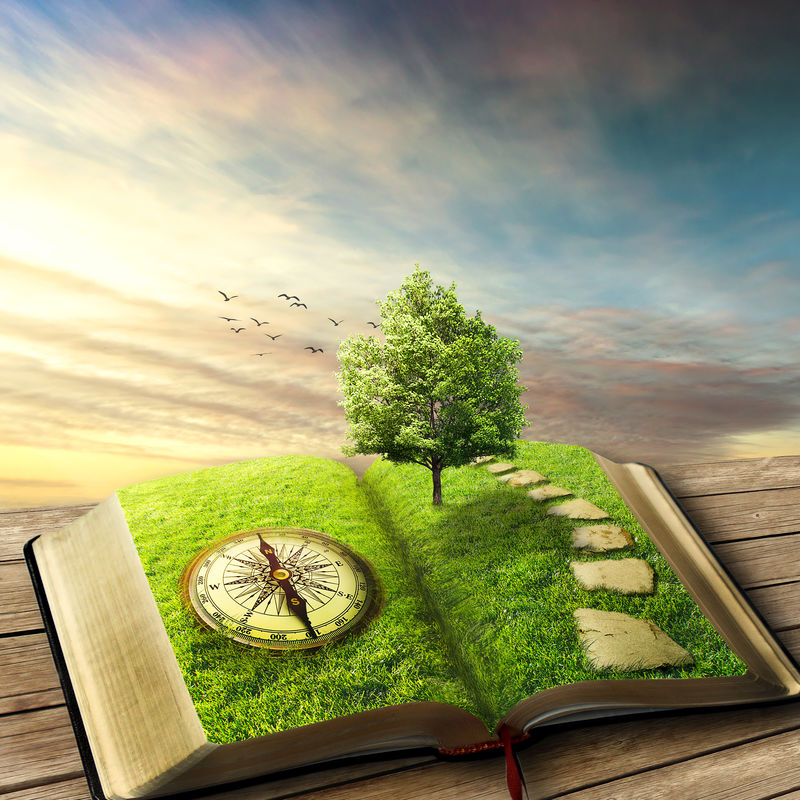 图解魔术打开的书籍覆盖草地-指南针-树和石头的方式在木质地板-阳台-幻想世界-虚构的观点-书-生命之树-正确之路-原始屏幕保护程序