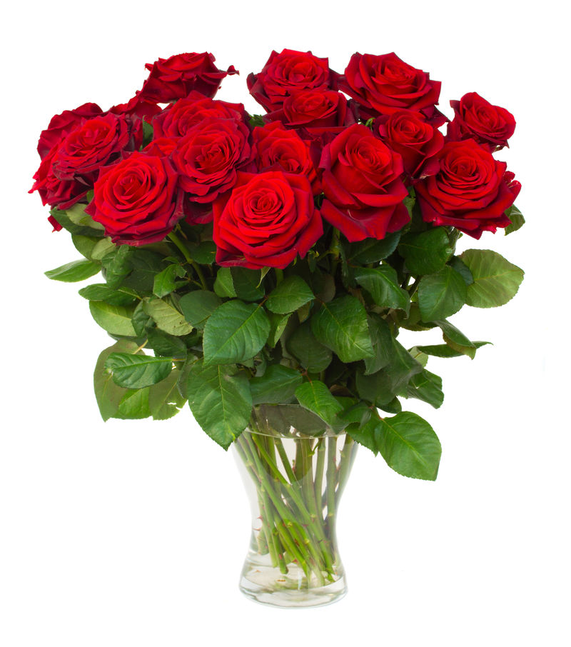 花瓶中盛开的深红色玫瑰束-白色背景下孤立