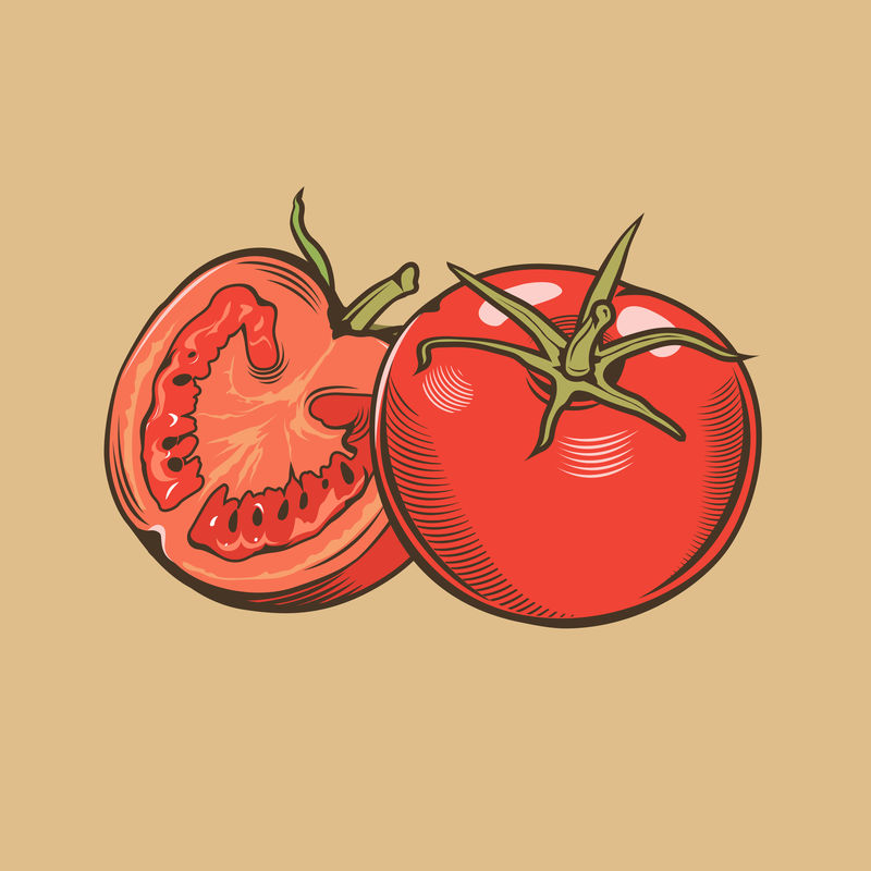 复古风格的西红柿彩色矢量图