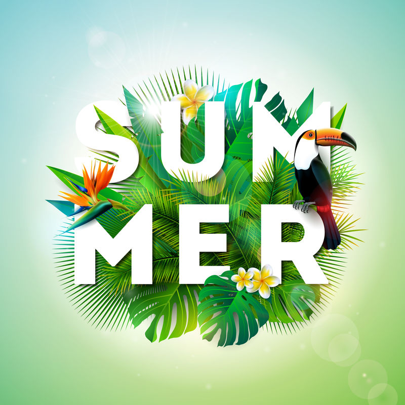 热带背景下的图坎鸟和鹦鹉喙花的夏季插图带有假日印刷元素的异国情调的叶子横幅传单邀请函小册子海报或贺卡的矢量设计模板