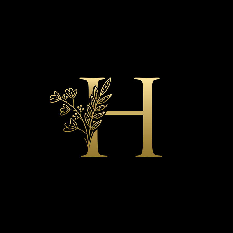 金色奢华H字母标志