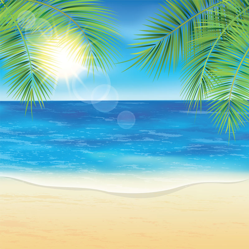 日落时分的沙滩和棕榈枝-矢量图